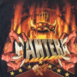 True Vintage Pantera 2000 T-shirt Brand Winterland